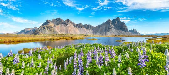 shutterstock_2648616205.jpg