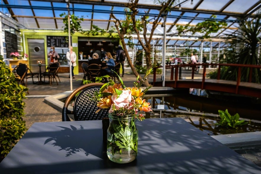 Floran Cafe & Bistro is one of the secret spots and hidden gems in Reykjavik, set in a greenhouse with lush plants and a tranquil pond.