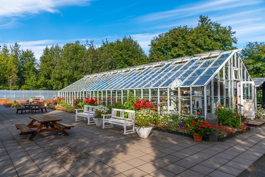 Glass greenhouse surrounded by colorful flowers and benches in Akureyri Botanical Garden on a bright summer day.