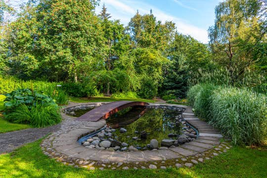 Private Walking Tour of Akureyri with Local Guide