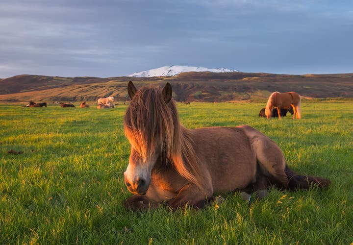 Spring is a great time to visit Iceland