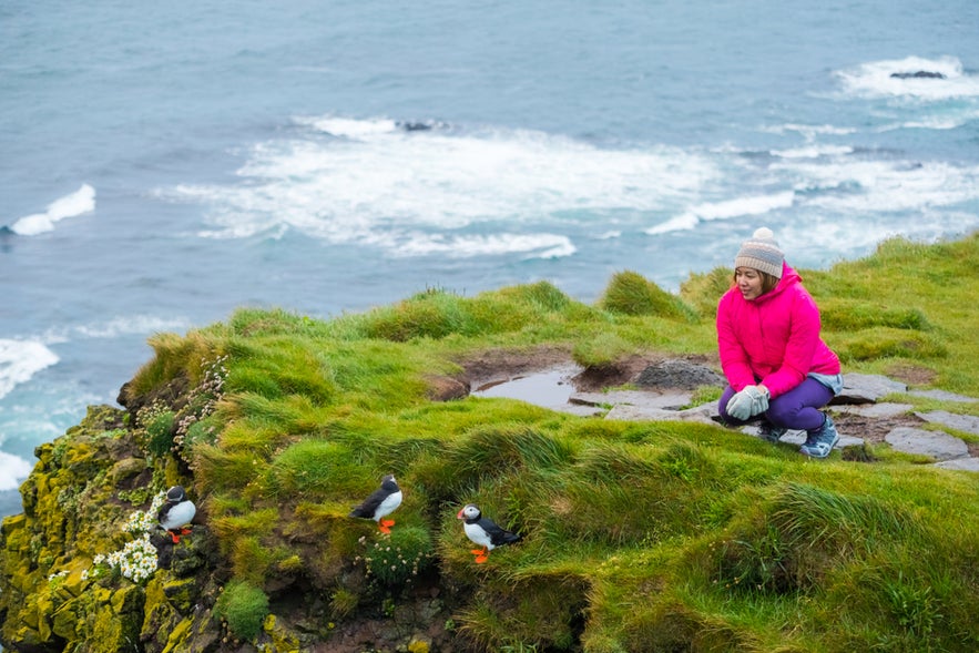 Visitor in bright jacket watching puffins on Latrabjarg Cliffs near Isafjordur, with ocean waves in the background.