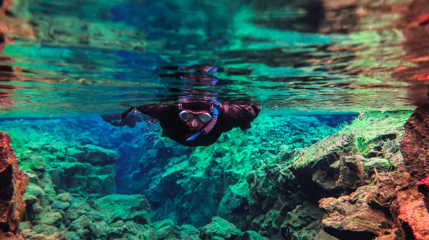 Snorkeler swims in the crystal-clear waters of Silfra fissure in Iceland, between the North American and Eurasian plates.