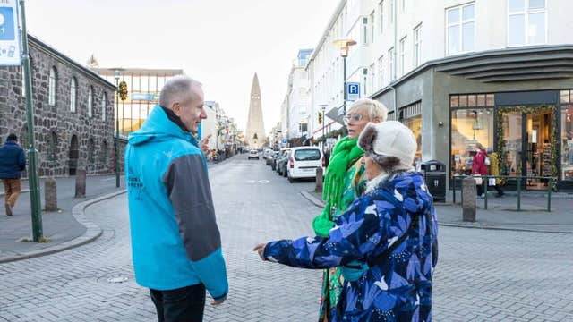 Private Reykjavik Walking Tour with a Viking Guide