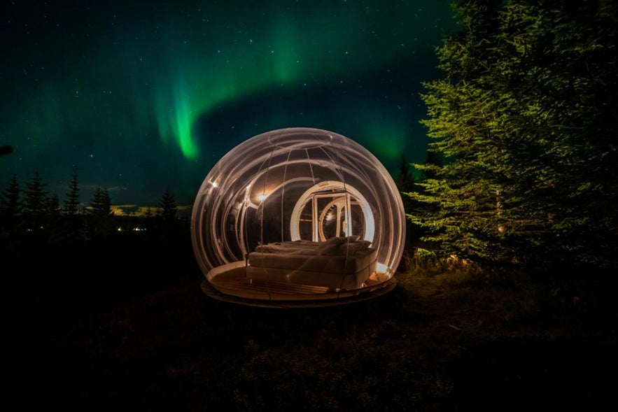 The Buubble Hotel in Olvisholt, Iceland, with a clear dome room under the glowing northern lights in a forested night setting