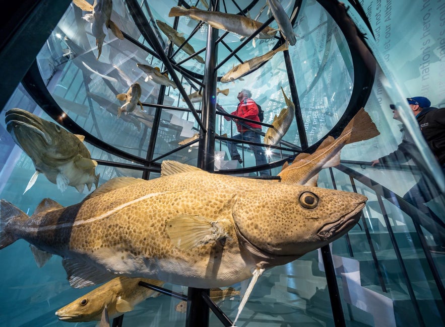 The entrance of the Maritime Museum in Reykjavik features a staircase wrapped around a sculpture of the sea, complete with fisth