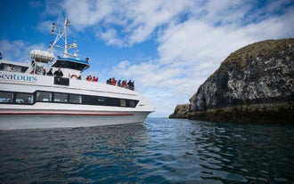 Passenger admiring the islands and cliffs of Breidafjordur bay.