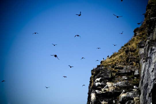 1.5-Hour Ferry Ride from Stykkisholmur to Flatey Island in West Iceland