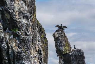 Wygodny 1-godzinny rejs promem z wyspy Flatey do Brjanslaekur na Fiordach Zachodnich