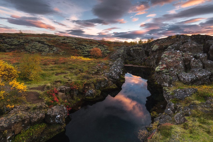 Wąwóz w Parku Narodowym Thingvellir na Islandii z jesiennymi kolorami i zachodzącym słońcem.