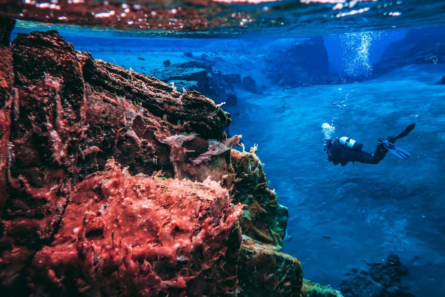 Esplorare il canyon sottomarino di Silfra è tra le migliori attività in Islanda per gli amanti dell’adrenalina.