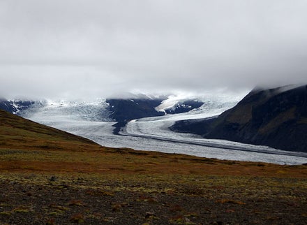 Ice age XXV