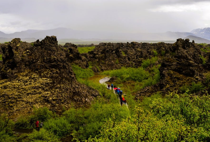 Guided hiking tour at Dimmuborgir in North Iceland, walking through dramatic lava formations near Lake Myvatn.