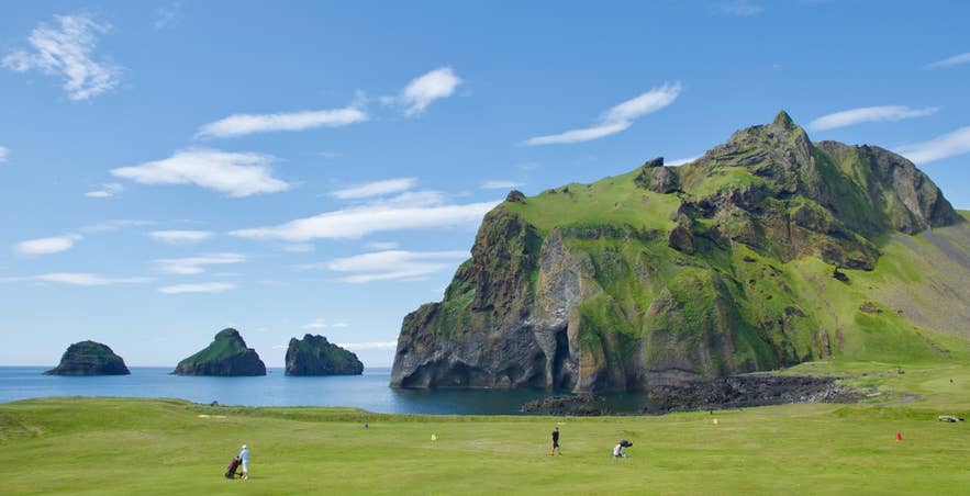 Grønn golfbane ved siden av Elephant Rock på Vestmannaeyjar, Island.