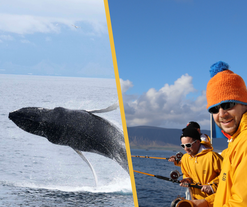 Whale Watching & Sea Fishing Tour