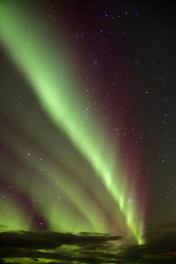 The northern lights shine in the sky in Iceland.