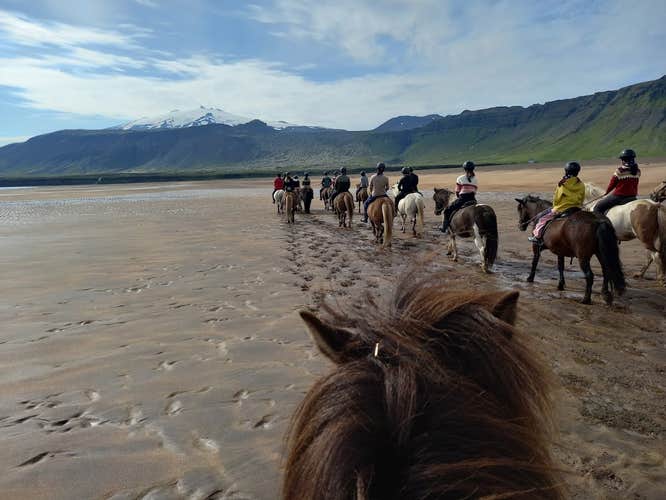 Incredible 5-Hour Horse-Riding Tour of the Snaefellsnes Peninsula