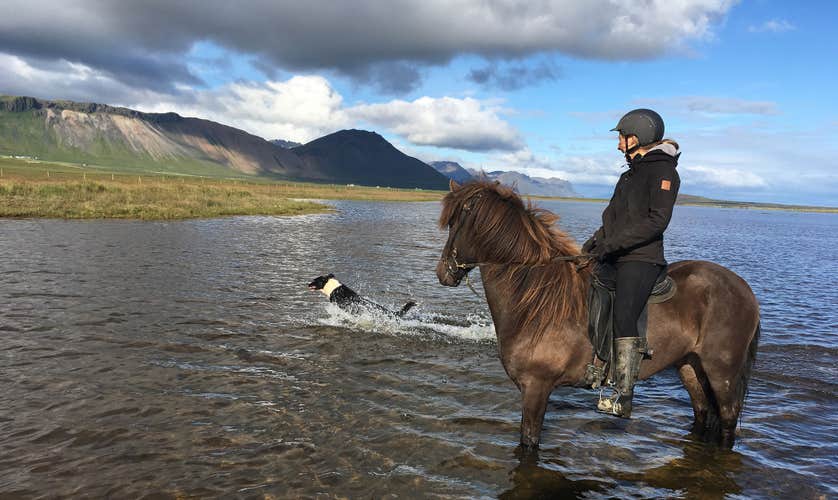 Incredible 5-Hour Horse-Riding Tour of the Snaefellsnes Peninsula