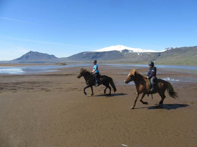 Incredible 5-Hour Horse-Riding Tour of the Snaefellsnes Peninsula