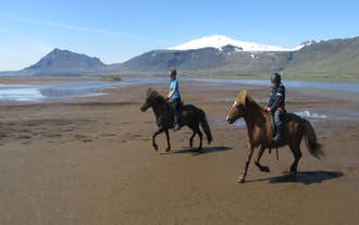 Hraunlandarif-stranden er et ideelt sted til ridning i Island.