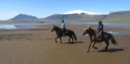 La plage de Hraunlandarif est un endroit idéal pour faire de l'équitation en Islande.