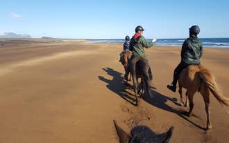 En gruppe rejsende nyder en ridetur i Snæfellsnes.