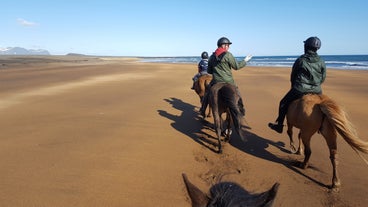 Un groupe de voyageurs profitant d'une promenade à cheval à Snaefellsnes.