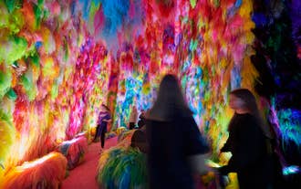 Det andet kammer i Chromo Sapiens-kunstinstallationen er et vildt miks af intense farver, der kan vække stærke følelser.