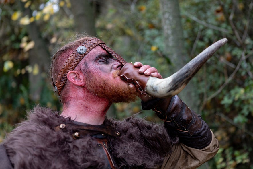 Viking reenactor drinking Icelandic liquor and spirits from a traditional horn during a cultural festival.