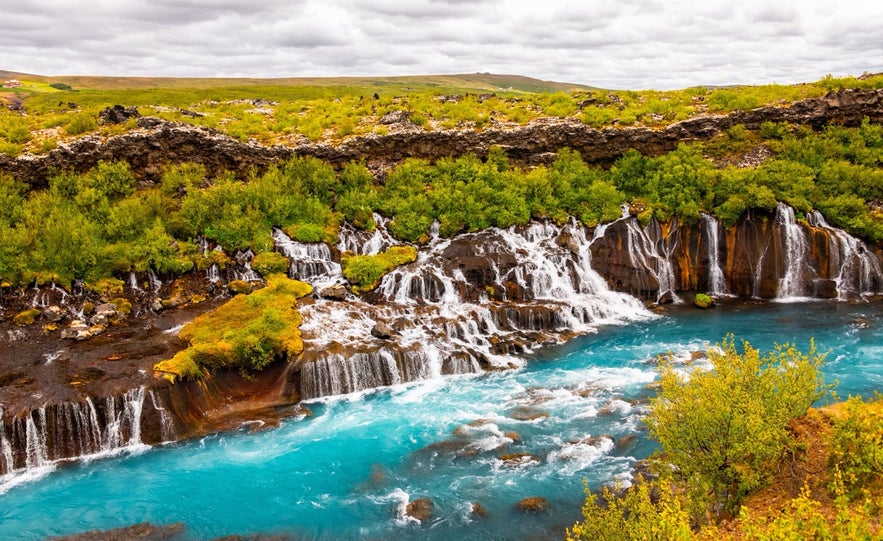 Hraunfossar waterfall in Iceland, where clear streams cascade through mossy lava fields into a bright blue glacial river under cloudy skies.